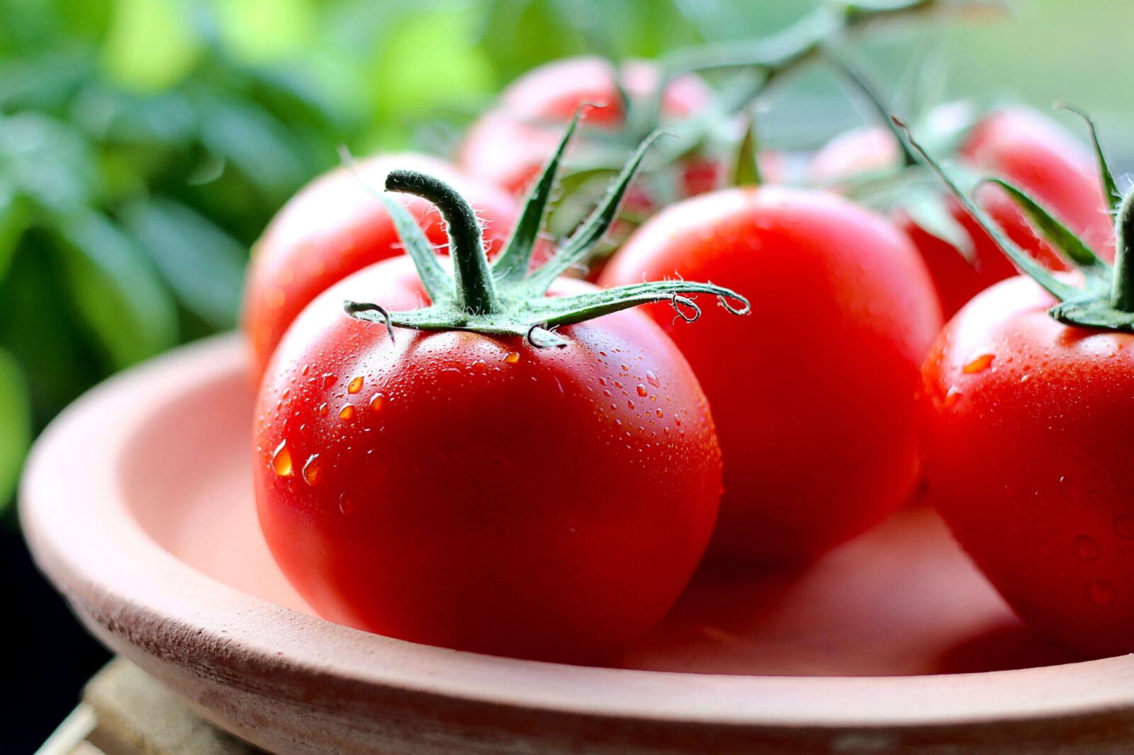 Tomatoes